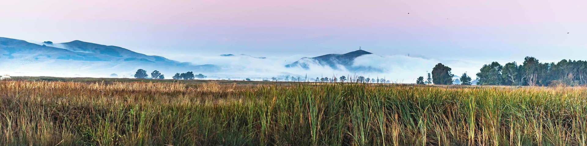 Early morning view from the slough as the fog rolls over the California hills. #NikonD850