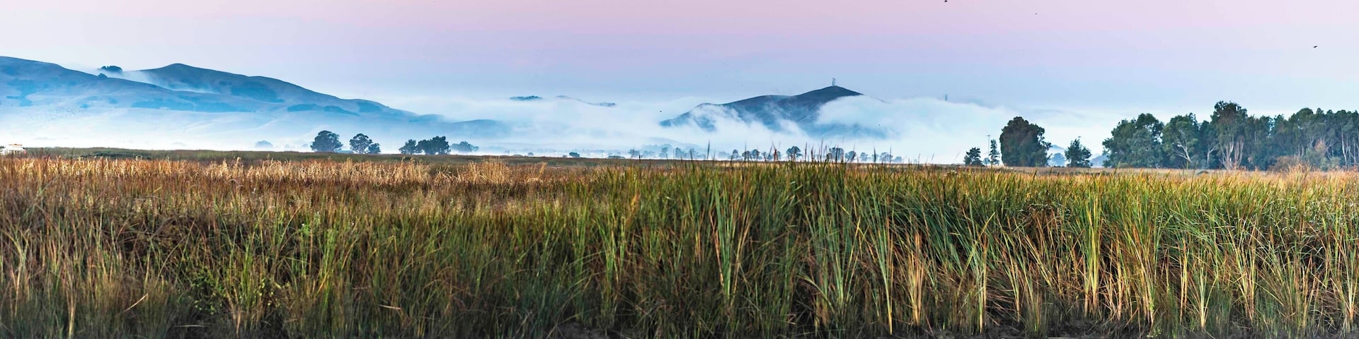 Early morning view from the slough as the fog rolls over the California hills. #NikonD850