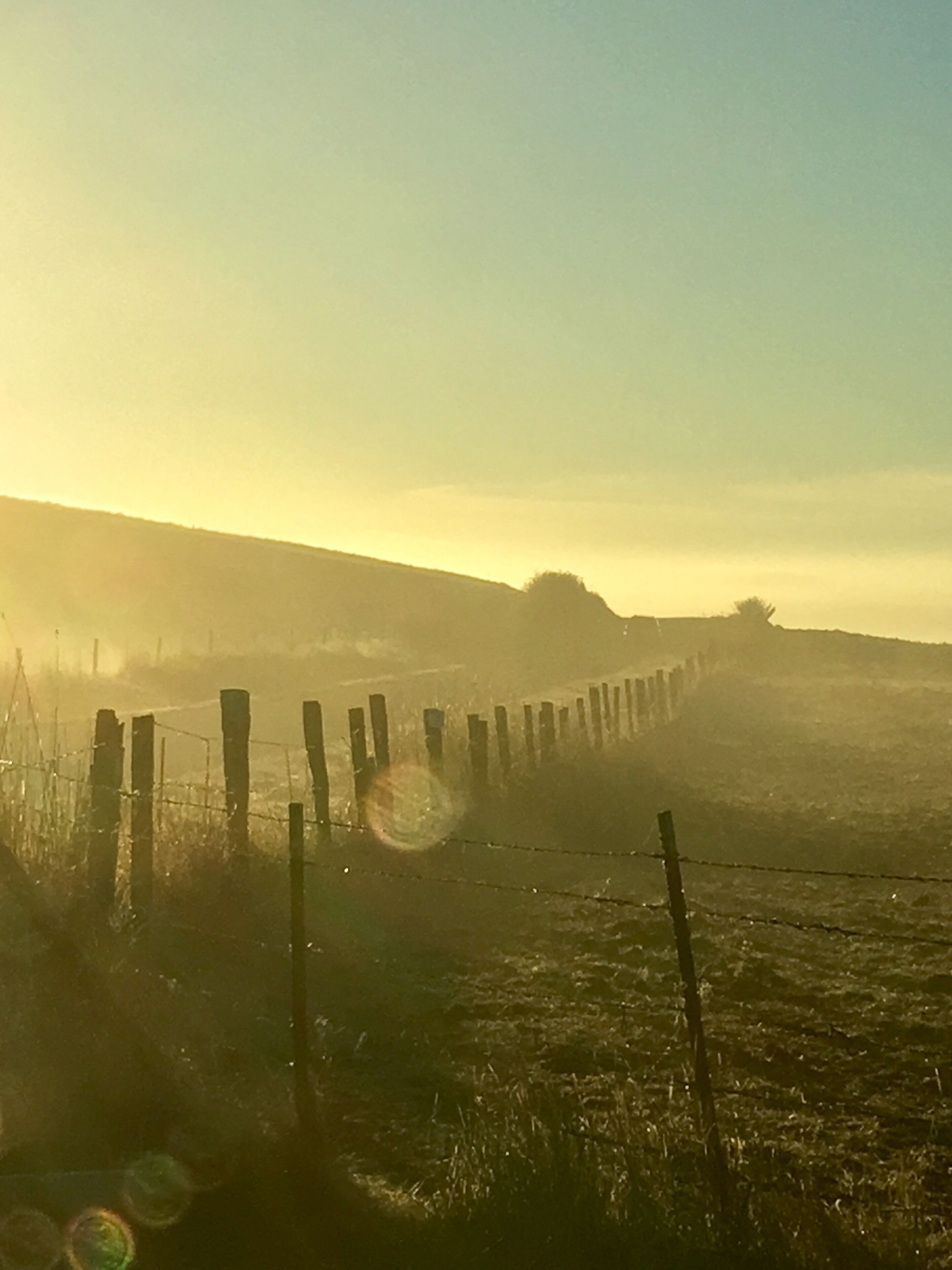 Sunrise over Grizzly Island Road, Suisun California. #Nikon D850