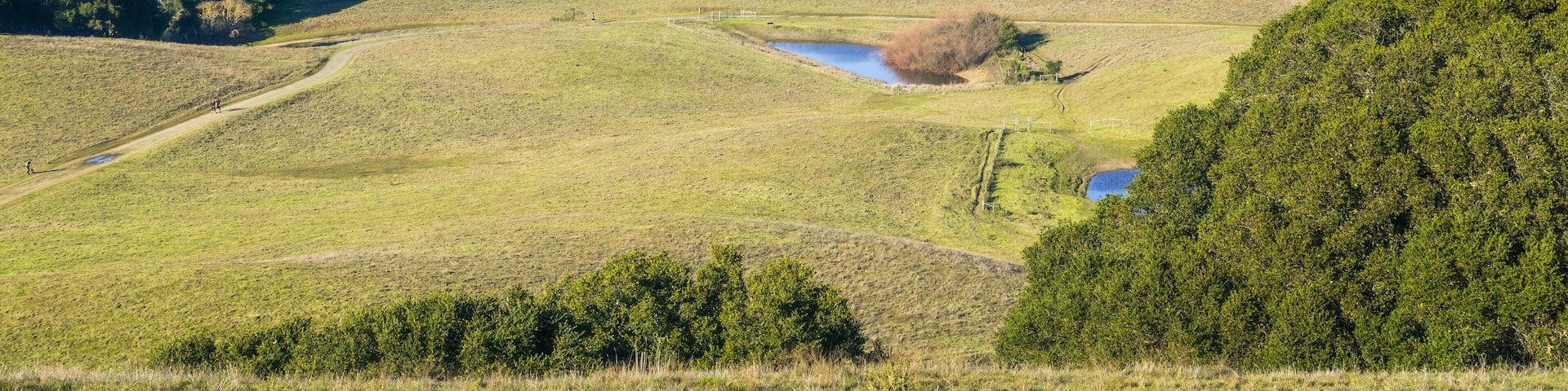 Green rolling hills in Briones Regional Park and Pollution over Suisun Bay in the background, Contra Costa county, San Francisco east bay, California