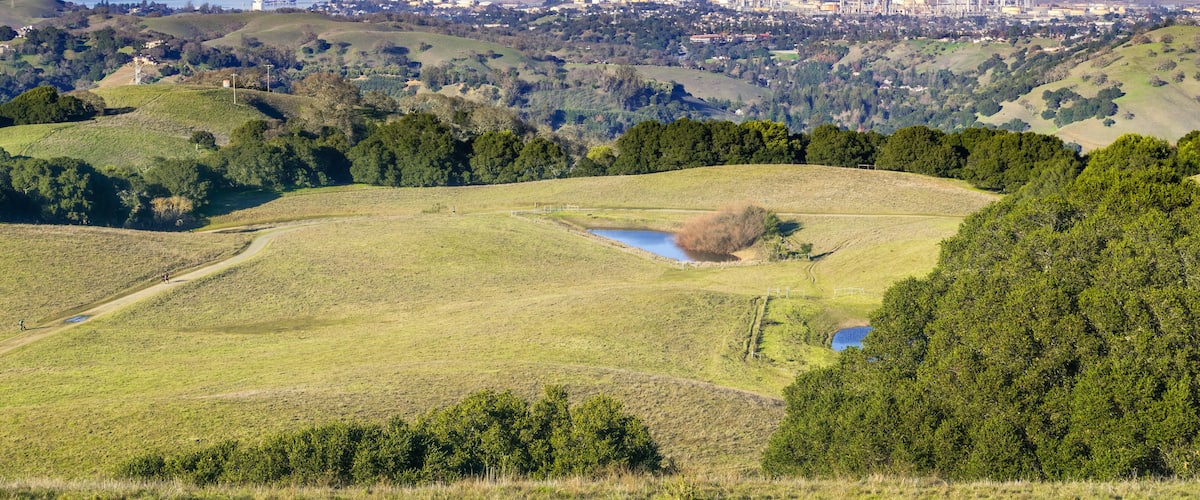 A coastal landscape with rolling hills, a river, and a distant cityscape with industrial structures.
