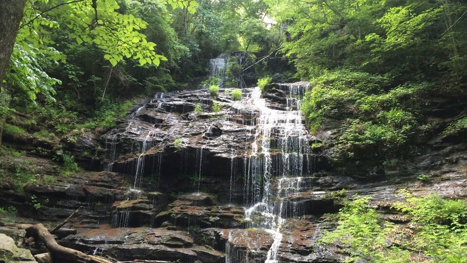 A multi-tiered waterfall surrounded by lush green foliage.