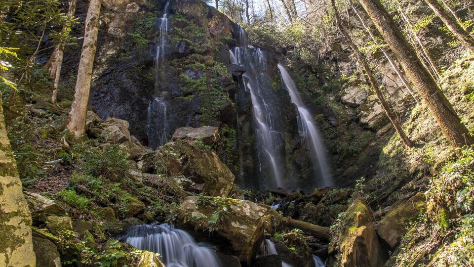 A forest with multiple waterfalls and rocky terrain.