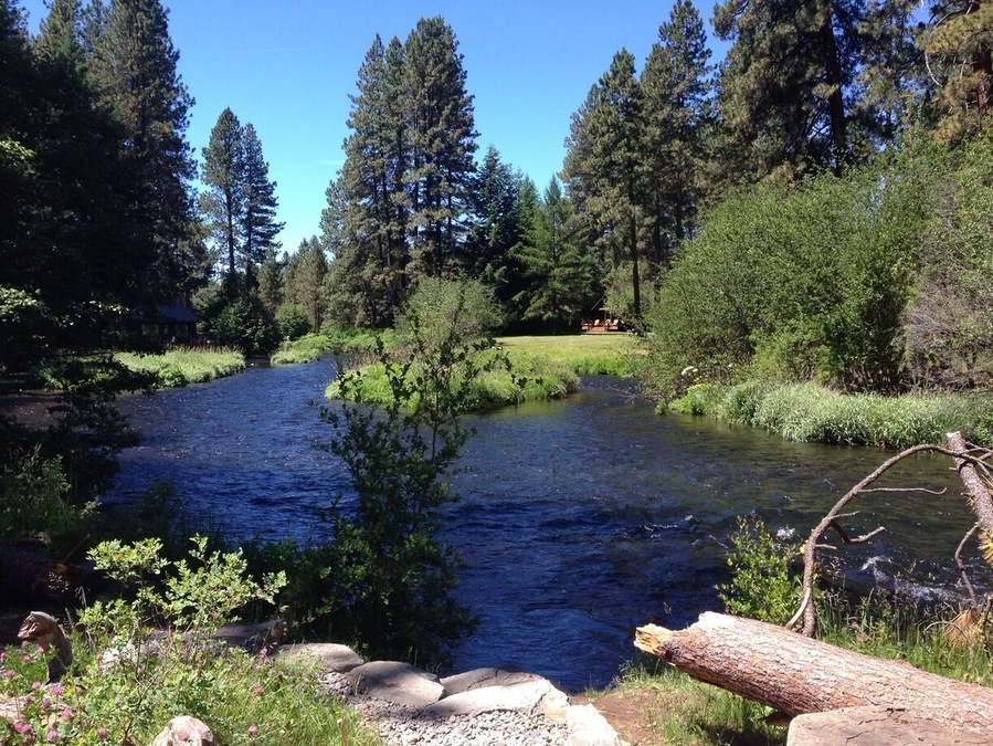 My happy place :)