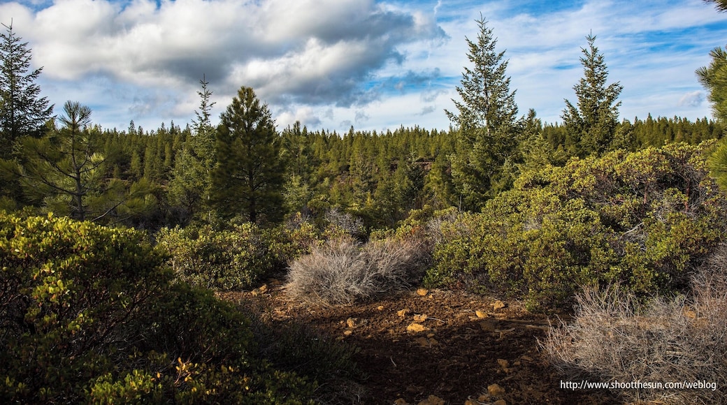 The trail offers only about a 400-foot elevation gain, but you get to traverse some of the prettiest scenery in the area.