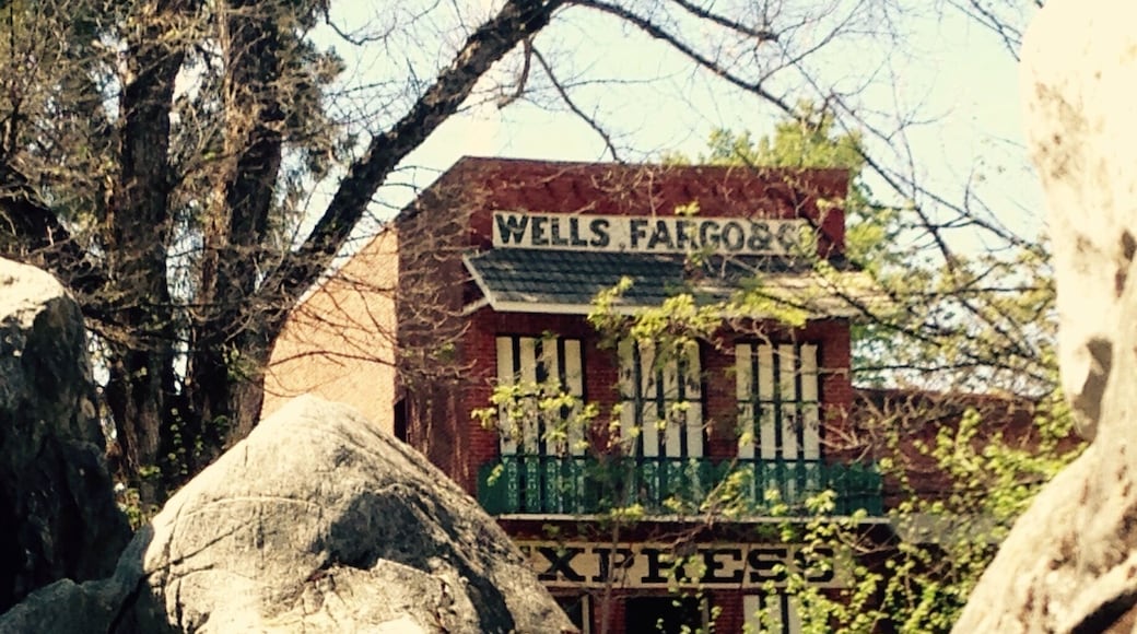 The epicenter of the gold rush. No cars, only horses!