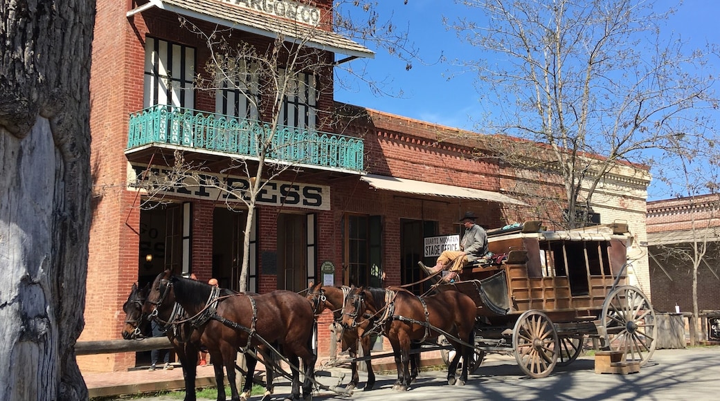 Old time fun on the stage coach at Columbia State Park