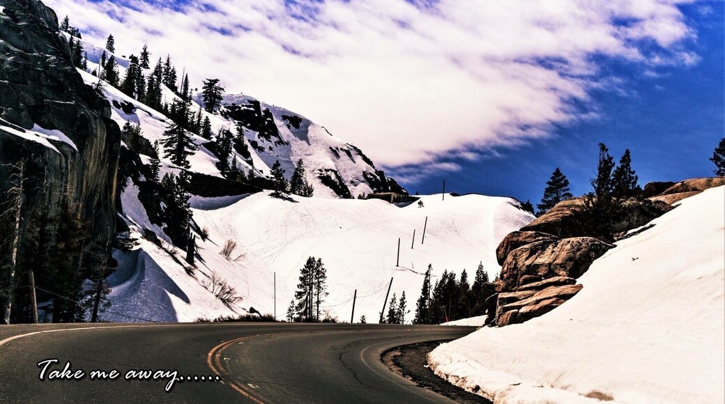 Everyone should travel this road and visit Donner Pass
