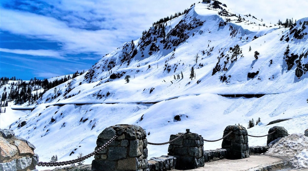 The Donner Party, or Donner-Reed Party, was a group of American pioneers led by George Donner and James F. Reed who set out for California in a wagon train in May 1846. They were delayed by a series of mishaps and mistakes, and spent the winter of 1846–47 snowbound in the Sierra Nevada. Some of the pioneers resorted to cannibalism to survive.