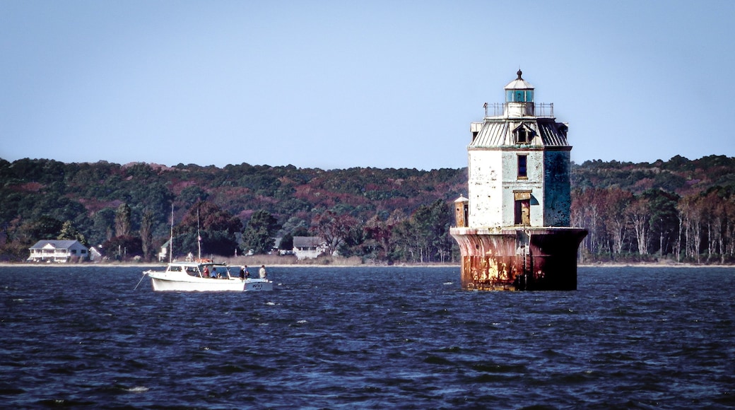 A lighthouse on a rocky outcrop surrounded by water, with a boat in the foreground and a forested shoreline in the background.