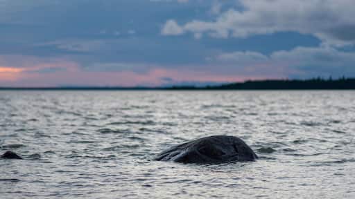 Lake Winnipeg, Riverton, Hecla Grindstone Provincial Park, Manit