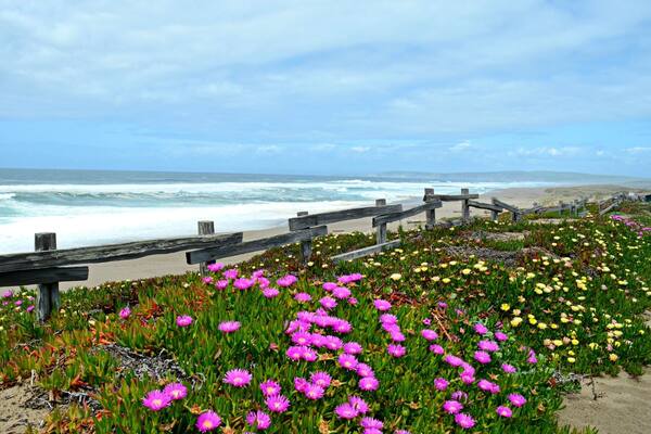 North Beach in the Point Reyes National Seashore. (April)
More on http://www.ajauntwithjoy.com