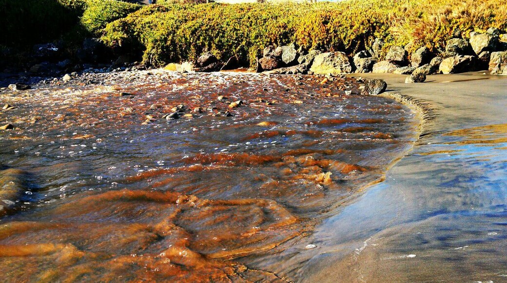 Great place to relax