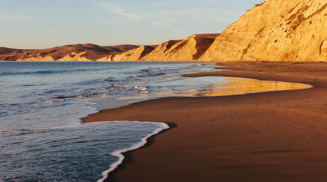 Beach at dawn, with sheer cliffs and rocks. ,Drakes Beach, Point Reyes National Seashore
