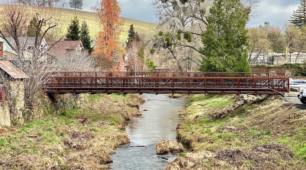 Remnants of fall meet the cold winter in Sutter Creek.