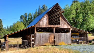 Old Barn in California
