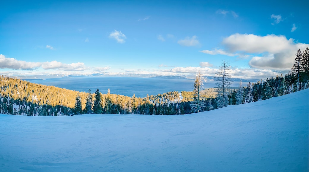 Ski Slopes at Homewood Resort in Lake Tahoe