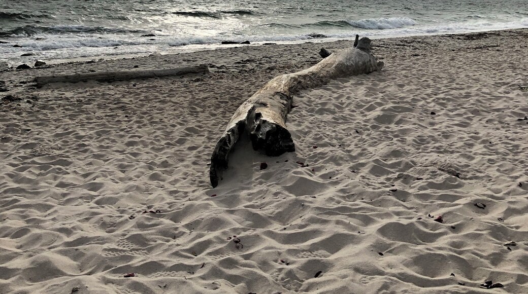 A local spot for me but I never get tired of the view