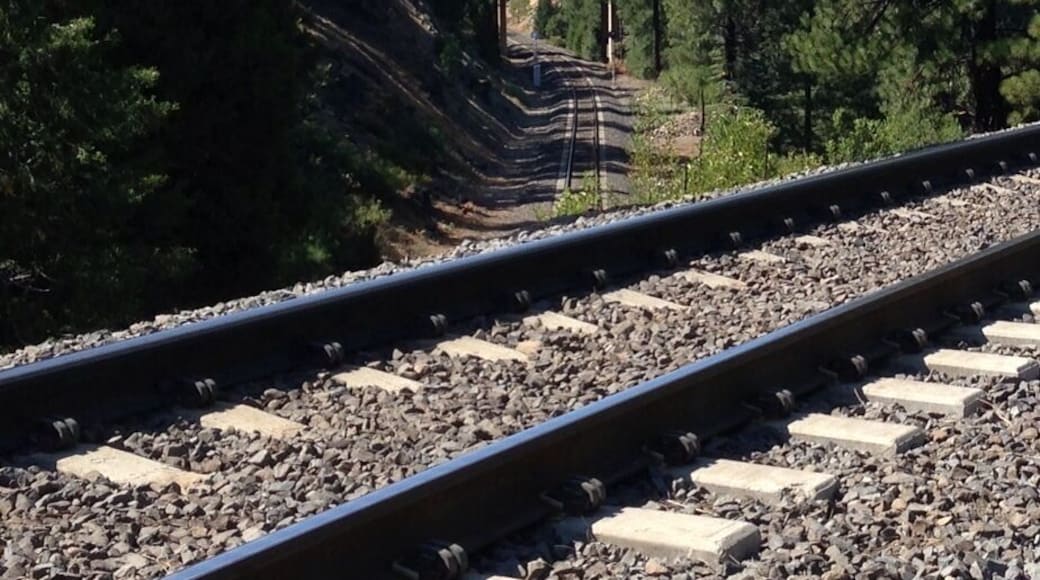 And the view of the Williams Loop going the other way. #railroad #trains
#patterns
#Perspectives