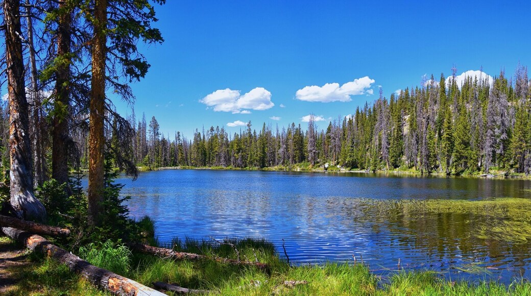 Fish Lake