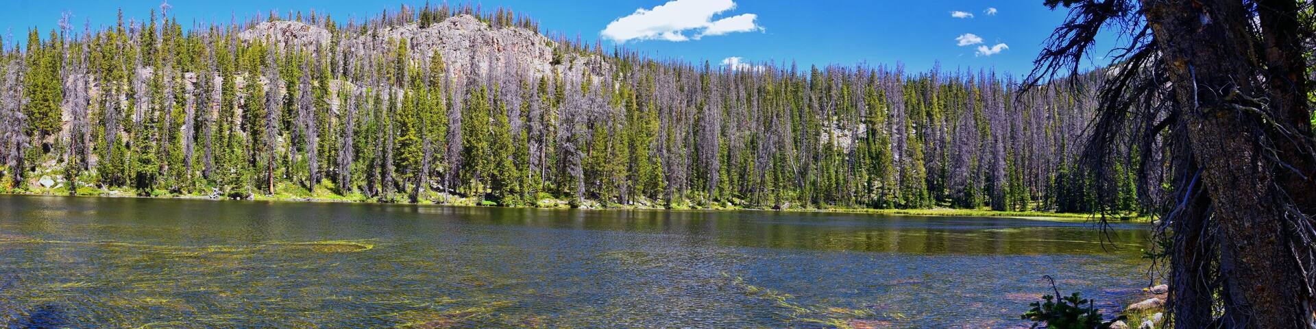 Lake Cuberant hiking trail views of ponds, forest and meadows with Bald Mountain Mount Marsell in Uinta Mountains from Pass Lake Trailhead, Utah, United States.