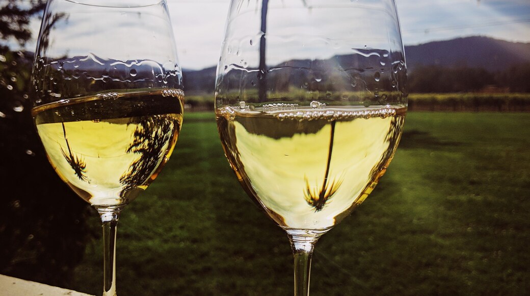 This is our favorite winery in the area. Spend the day lounging in the sun, sipping wine, and looking out over the vineyard. If you go, be sure to try their Sonoma Reserve Chardonnay. #culture