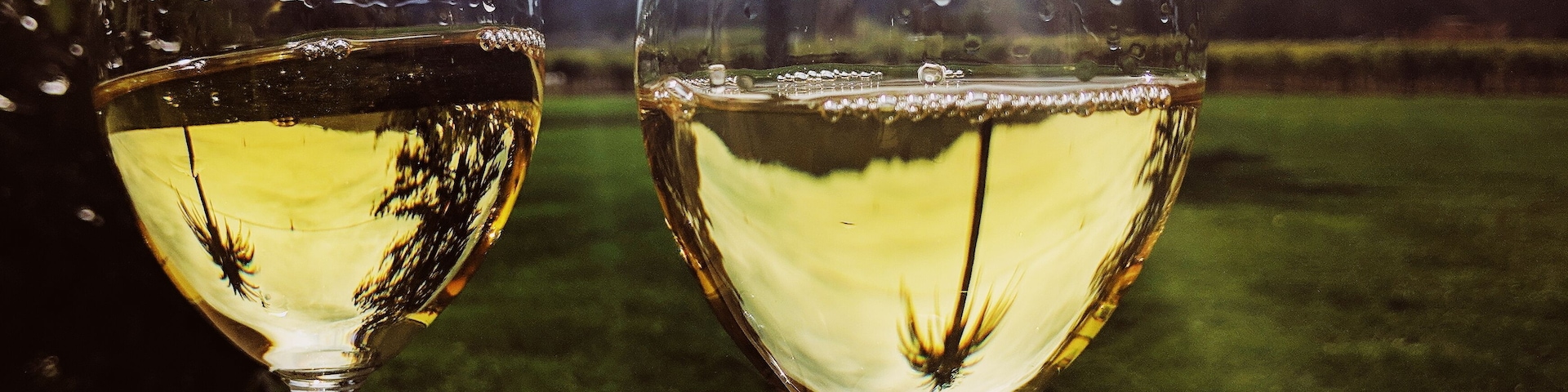 This is our favorite winery in the area. Spend the day lounging in the sun, sipping wine, and looking out over the vineyard. If you go, be sure to try their Sonoma Reserve Chardonnay. #culture