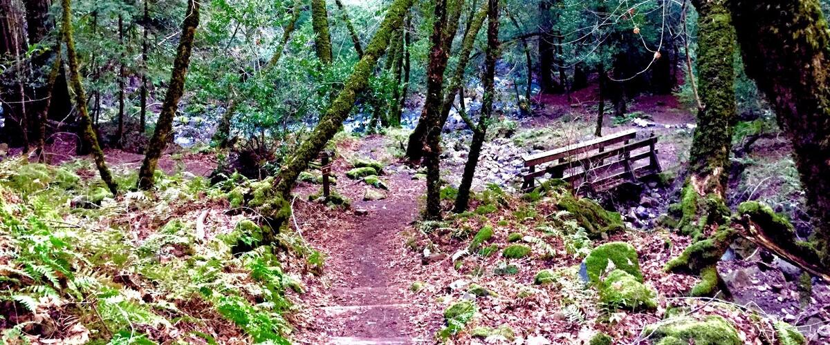 The Wilderness. Waterfall trail. This place is located on the Adobe Canyon Hwy, on the Sonoma County. Their are plenty of other places to hike, in the surrounding areas and, of course, you can tour the famous Napa County--which is about 20 mins from this place. #Hiking