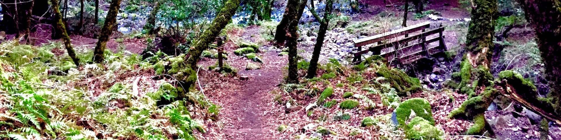The Wilderness. Waterfall trail. This place is located on the Adobe Canyon Hwy, on the Sonoma County. Their are plenty of other places to hike, in the surrounding areas and, of course, you can tour the famous Napa County--which is about 20 mins from this place. #Hiking