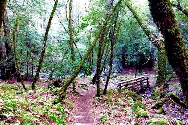 The Wilderness. Waterfall trail. This place is located on the Adobe Canyon Hwy, on the Sonoma County. Their are plenty of other places to hike, in the surrounding areas and, of course, you can tour the famous Napa County--which is about 20 mins from this place. #Hiking
