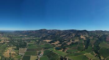 A mountainous landscape with terraced vineyards and a clear blue sky.