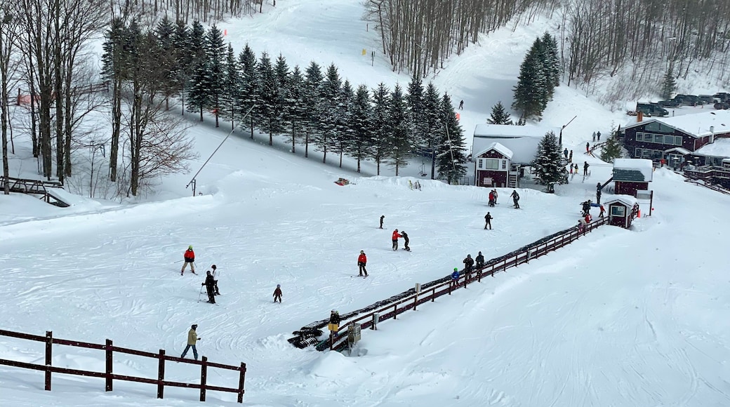 Beginner area at Plattekill Ski Mountain