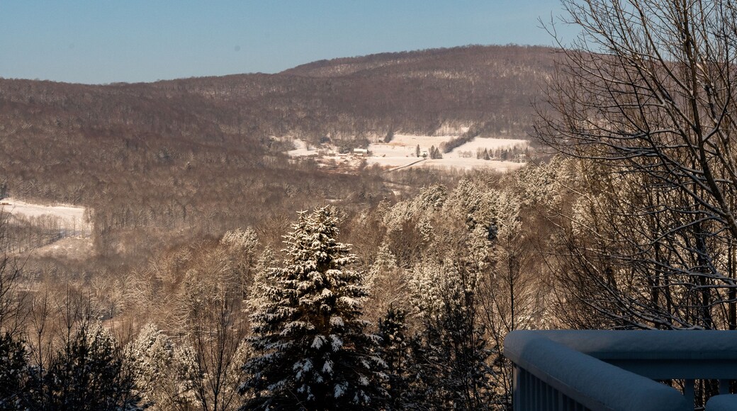 Mountainside view and snowy trees in the Catskill Mountains