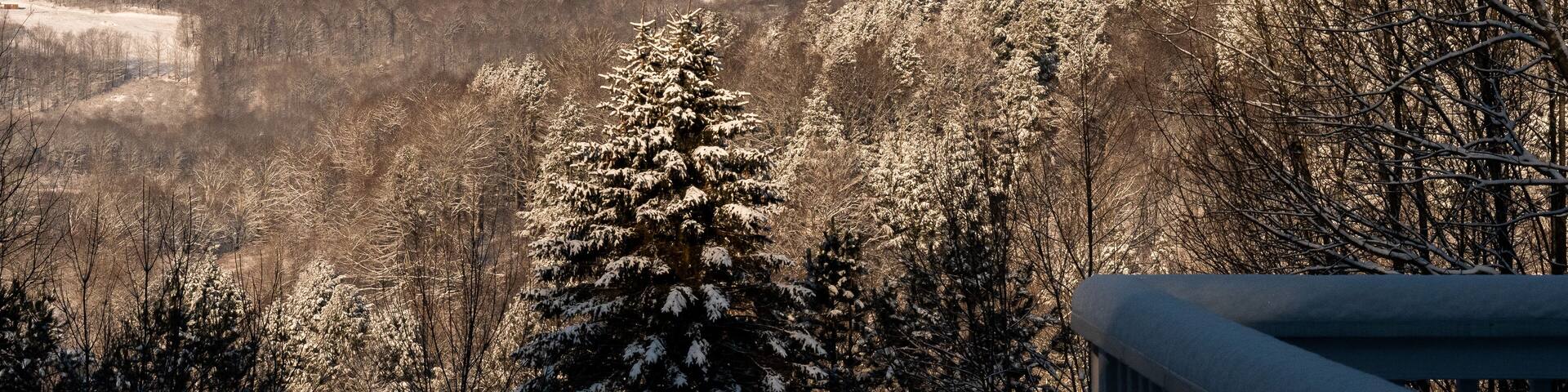 Mountainside view and snowy trees in the Catskill Mountains