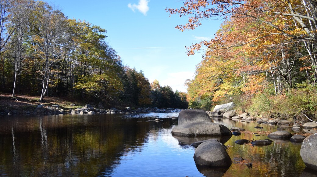 Swift River, Roxbury Maine In the Fall