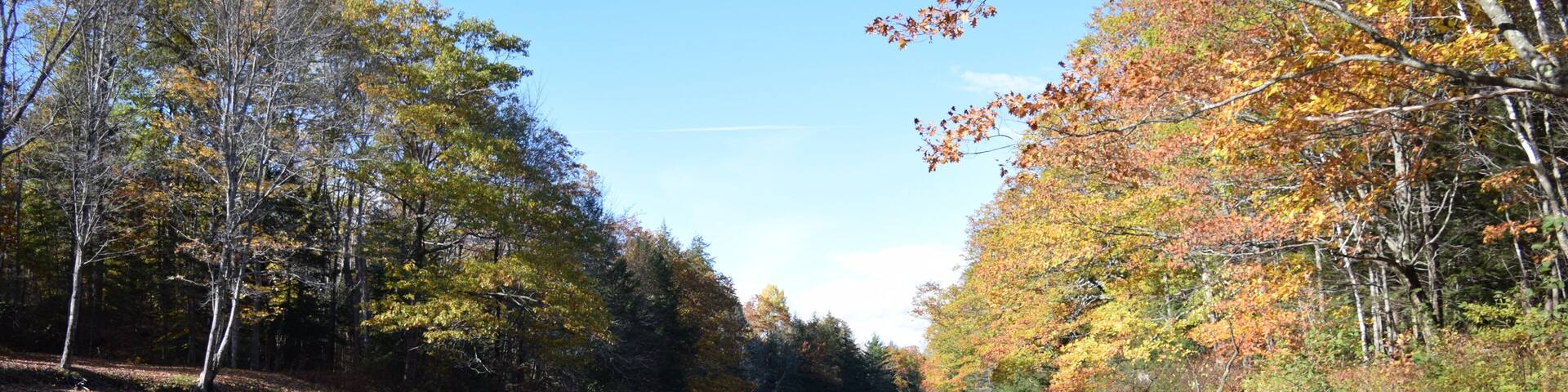 Swift River, Roxbury Maine In the Fall