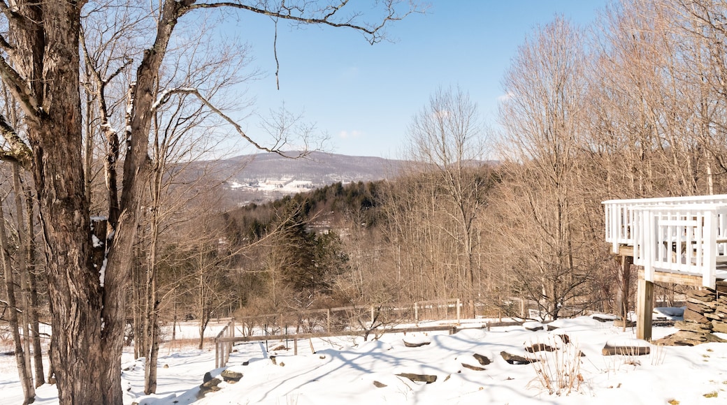 Mountainside view and snowy trees in the Catskill Mountains