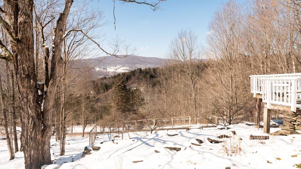 A snowy landscape with bare trees, a wooden deck, and a distant mountain range.