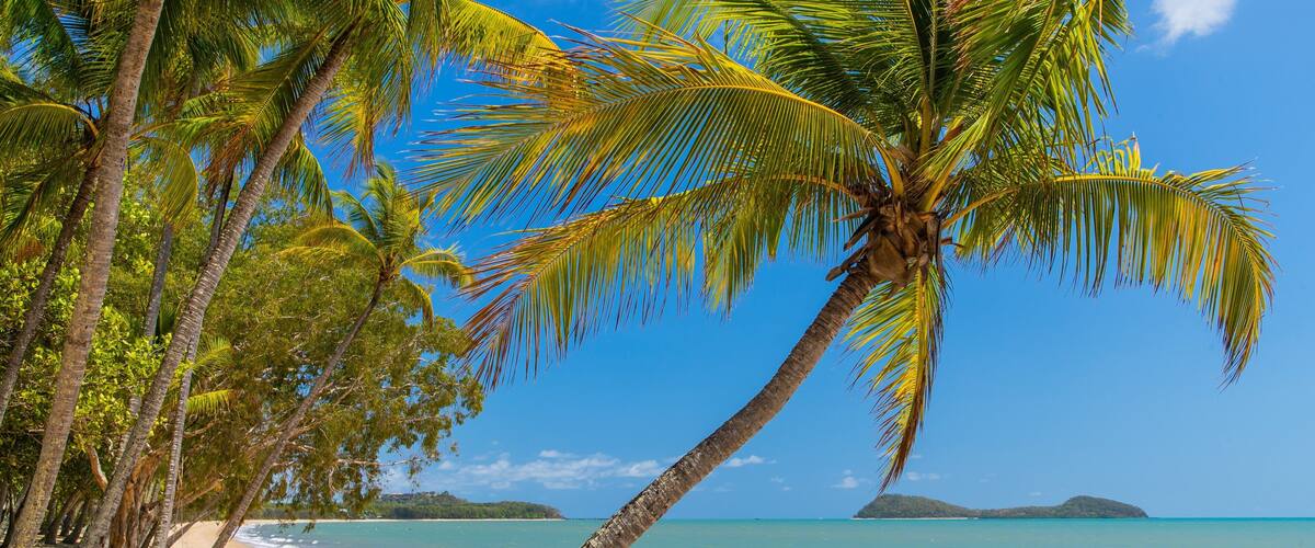 Clifton Beach which includes general coastal views, tropical scenes and a sandy beach