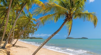 Clifton Beach which includes general coastal views, tropical scenes and a sandy beach