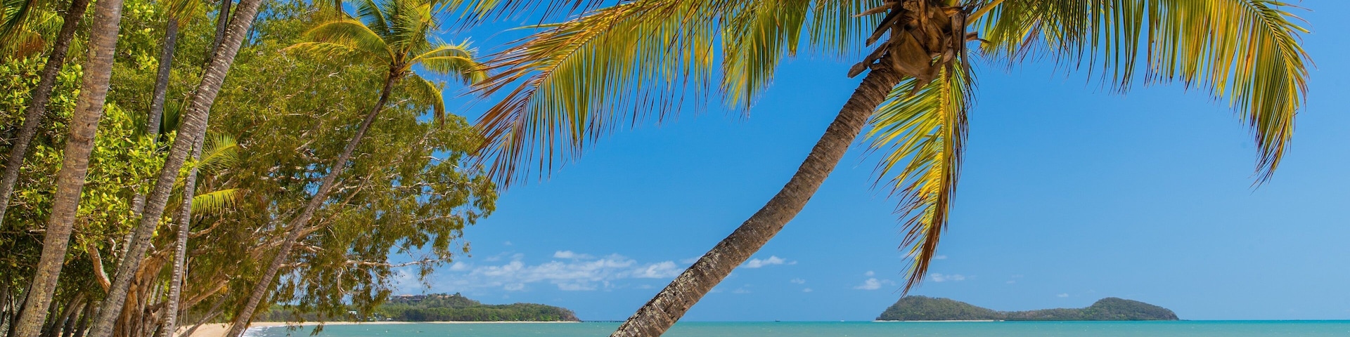Clifton Beach which includes general coastal views, tropical scenes and a sandy beach