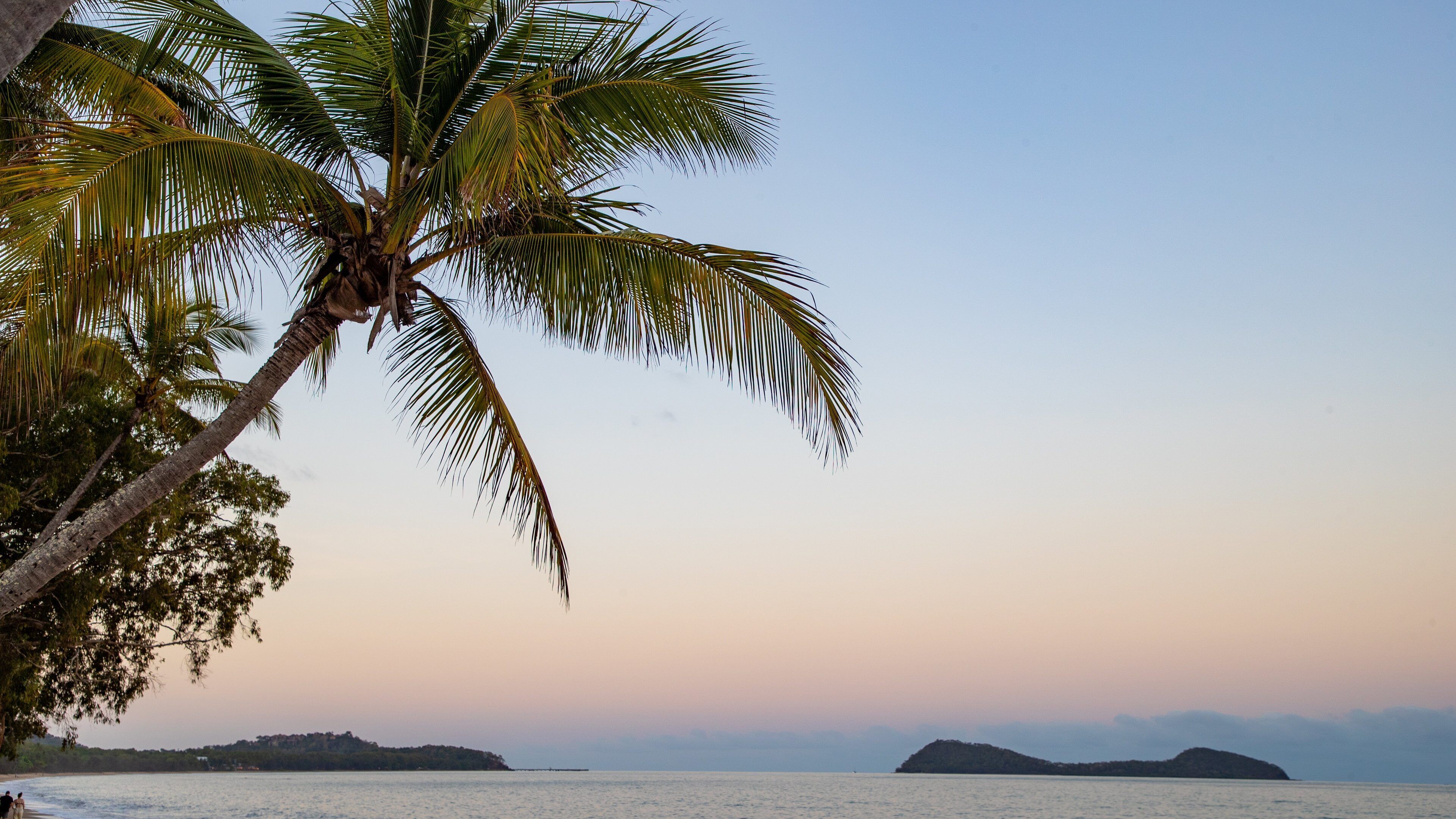 Clifton Beach showing general coastal views, tropical scenes and a sunset