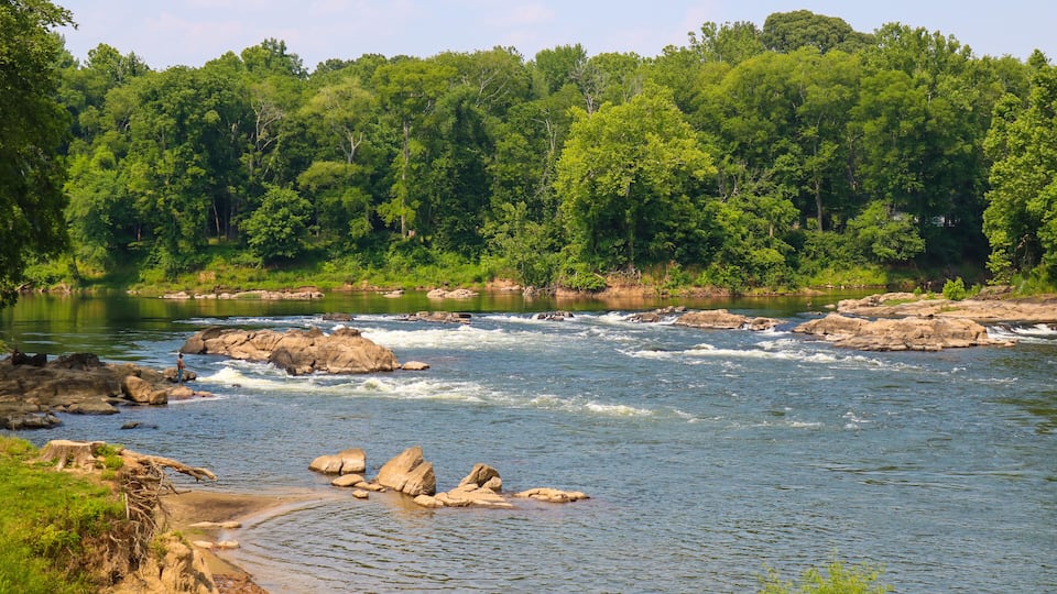A river with rapids, surrounded by dense green forest.