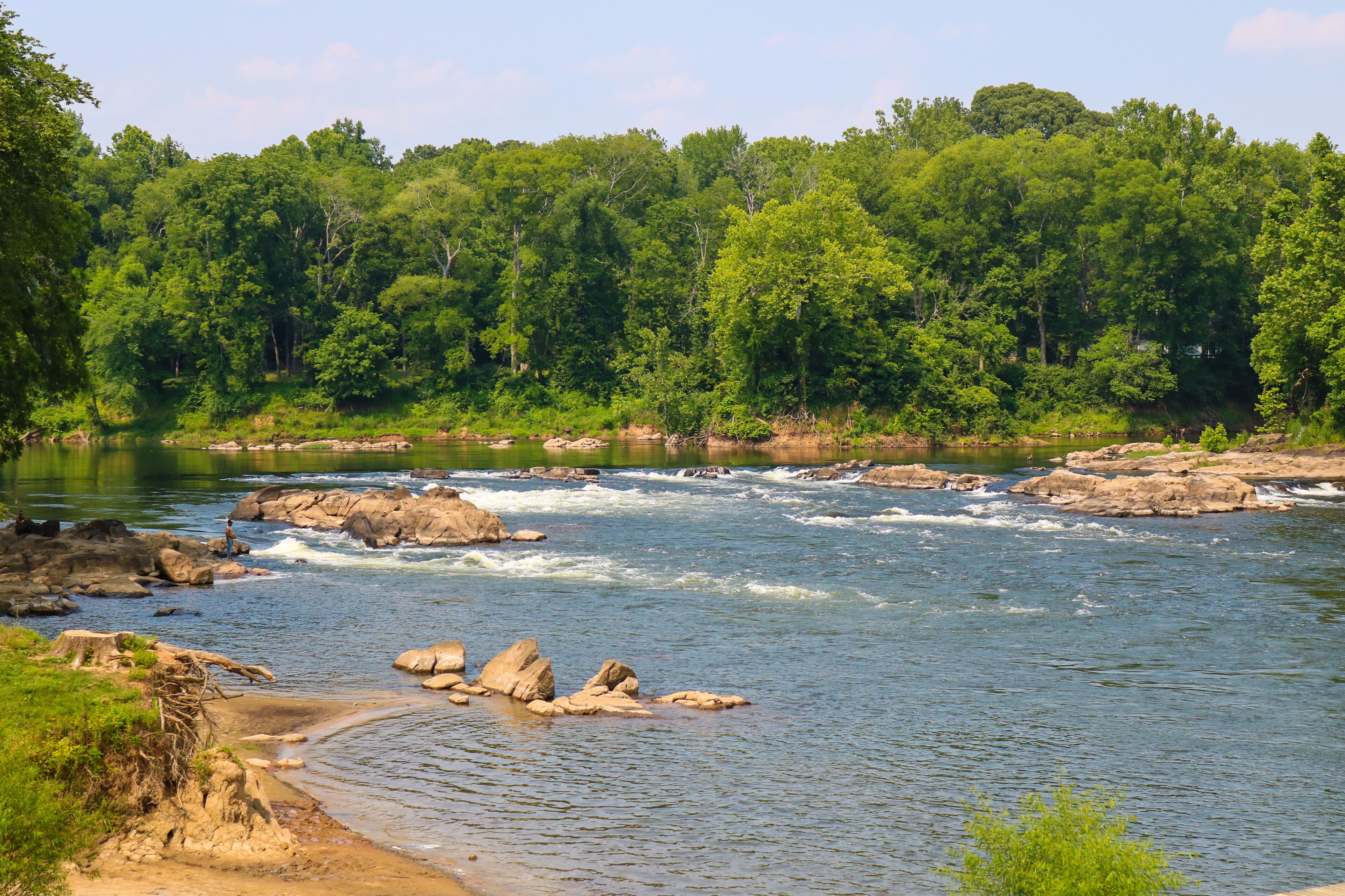A river with rapids, surrounded by dense green forest.