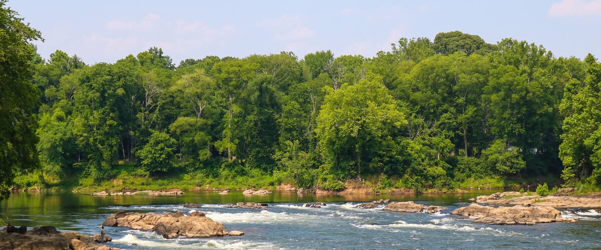 A river with rapids, surrounded by dense green forest.