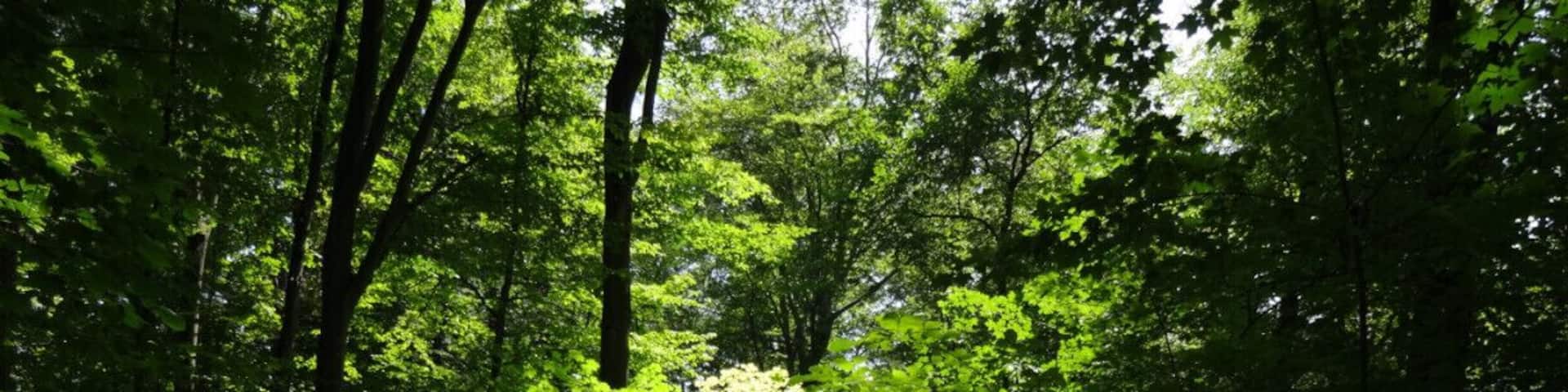 Inniswood Metro Gardens are most noted for their formal display gardens but there are also a couple short boardwalk trails that meander through the surrounding woods.