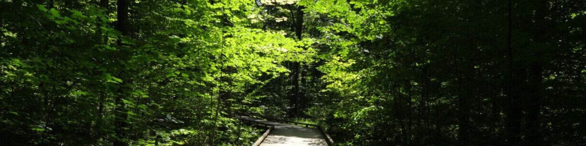 Inniswood Metro Gardens are most noted for their formal display gardens but there are also a couple short boardwalk trails that meander through the surrounding woods.