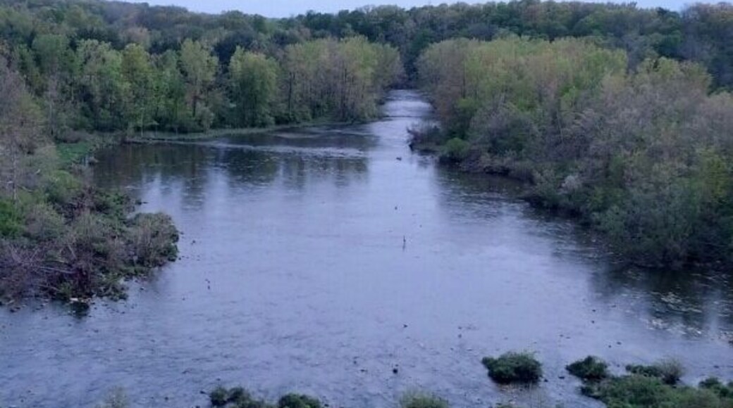 A view looking south from atop the Hoover Dam. (No, not that one.) The park is chock full of scenic vistas this time of year. With dogwoods, redbuds, hawthorns, honeysuckles and numerous wildflowers all in bloom.
