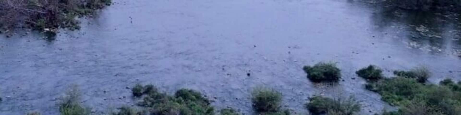 A view looking south from atop the Hoover Dam. (No, not that one.) The park is chock full of scenic vistas this time of year. With dogwoods, redbuds, hawthorns, honeysuckles and numerous wildflowers all in bloom.