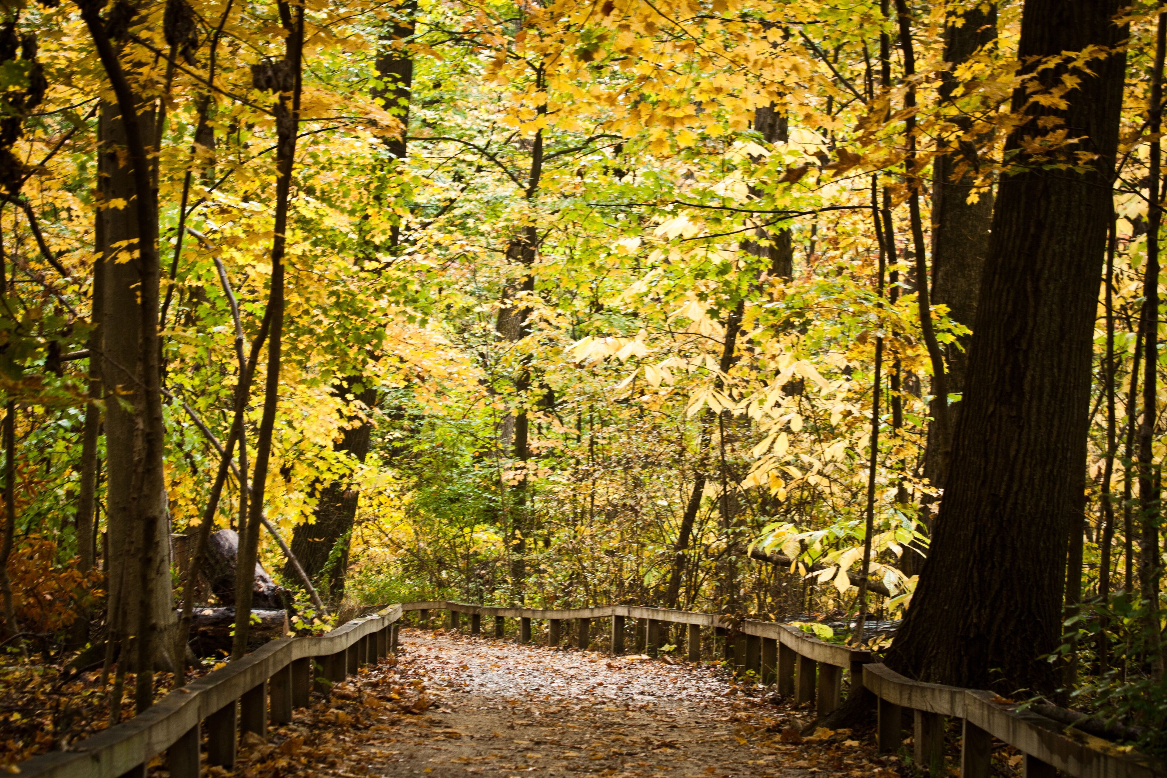 Inniswoods Metro Garden, Westerville, Ohio.